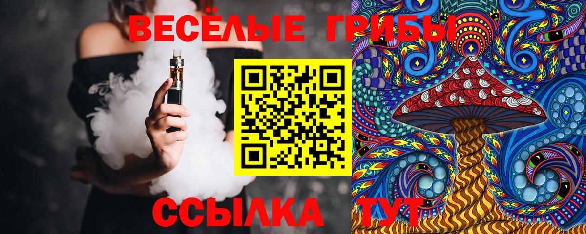 Павловский Посад  Псилоцибиновые грибы Psilocybine cubensis  Вход с VPN 